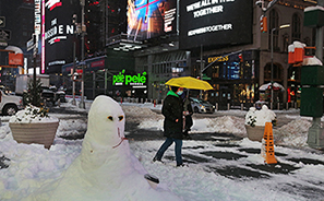 Snowstorm : 2021 : New York : Personal Photo Projects : Photos : Richard Moore : Photographer